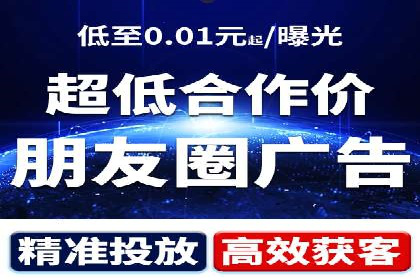 某企业SEM广告投放的ROI提升策略及效果展示